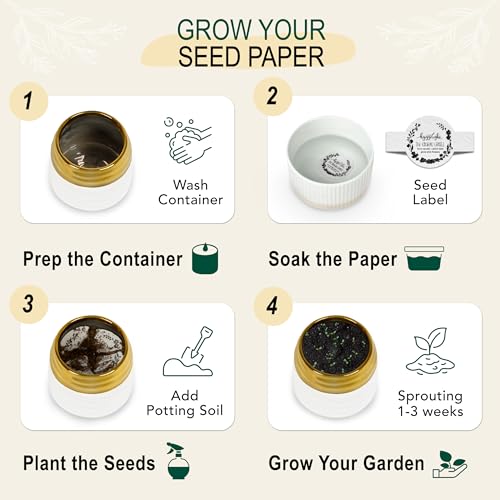 The Growing Candle (Clara)