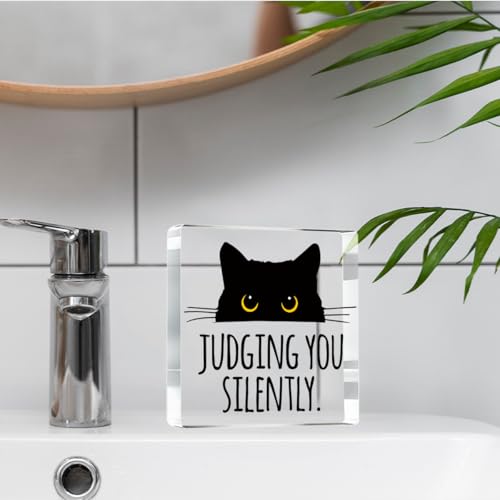 Judging you Silently Funny Sign (Siently)