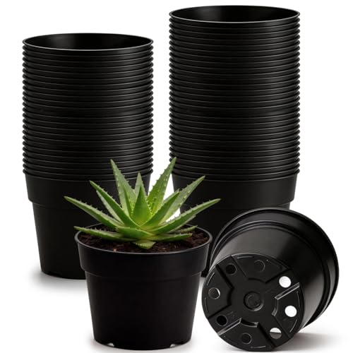 50 Pack 6 Inch Nursery Pots (Black / 6 Inch 50 Pack)