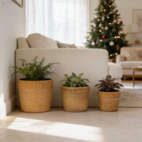Ceramic Plant Pots Set of 3 Size (Antique Yellow)