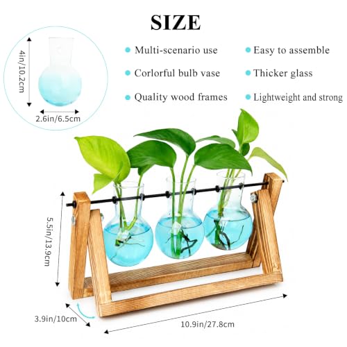 Plant Terrarium Kit with Wooden Stand 3 Gradient Blue Bulb Vases (Blue)