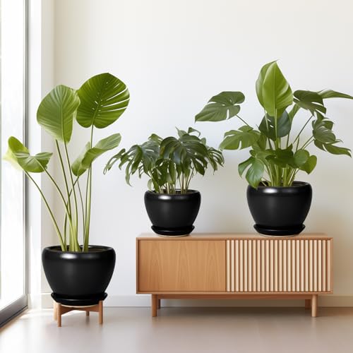 Ceramic Planters Pots (3 Count)