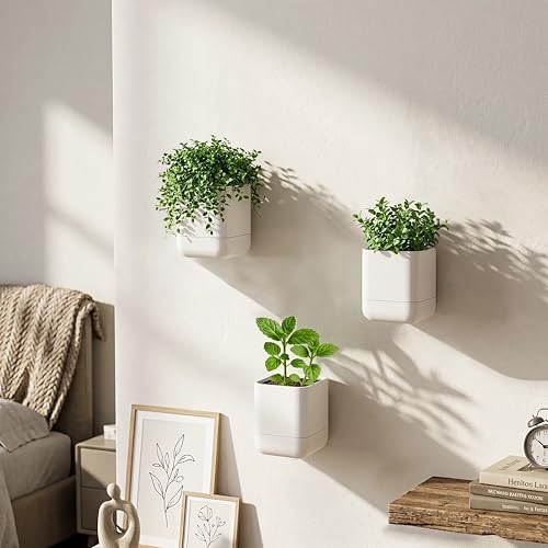3.5 Inch Wall Mounted Self (3.5" (4 Pack) / Oatmeal)