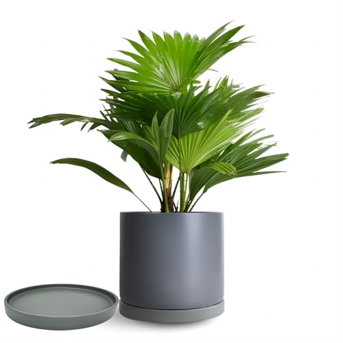 4 Pack Ceramic Plant Saucer Pot Tray 4 Inch ((4.5"/4.1")-4pack / Gray)