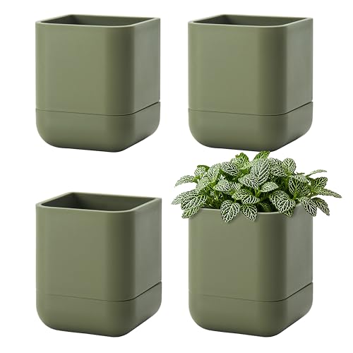 3.5 Inch Wall Mounted Self (3.5" (4 Pack) / Olive)