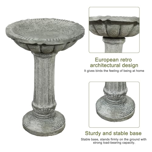 Concrete Bird Bath for Outdoor Garden (23.8" / Fluted Pedestal)
