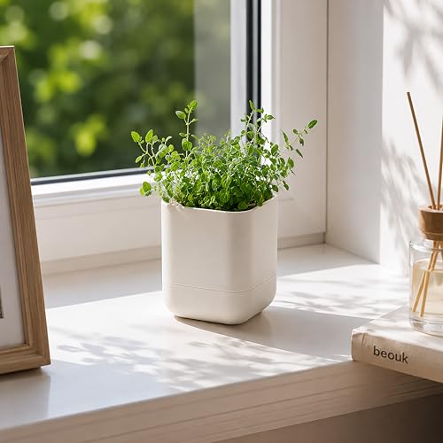 3.5 Inch Wall Mounted Self (3.5" (6 Pack) / Oatmeal)