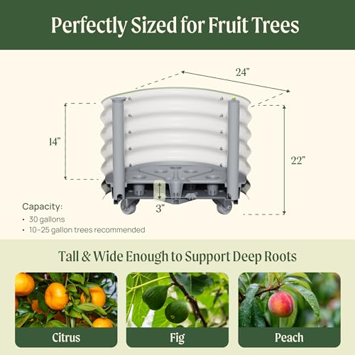 Rolling Citrus Tree Planter Gen 3 (Pearl White / 30 Gallon)