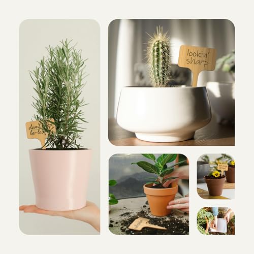 Bamboo Plant Labels & Garden Tags (Long (7"))
