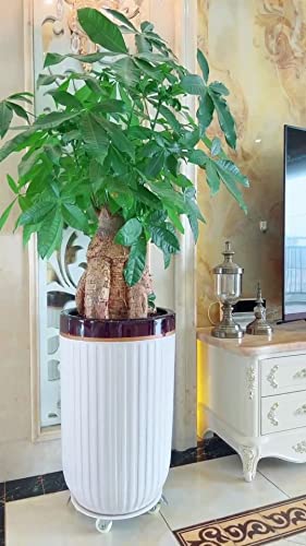 Plant Stand with Wheels (12" round white)