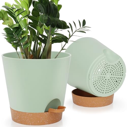 8 Inch Plant Pots (2 Count)