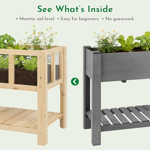 Raised Garden Bed with Transparent Acrylic Side Panels (28" x 15"x 24")