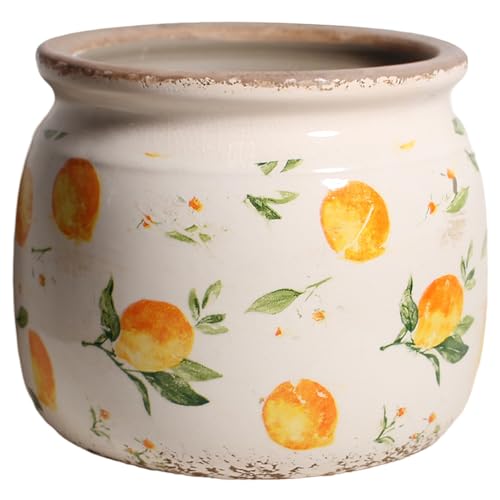 Lemon Ceramic Planter (Lemon / 6.3 in)
