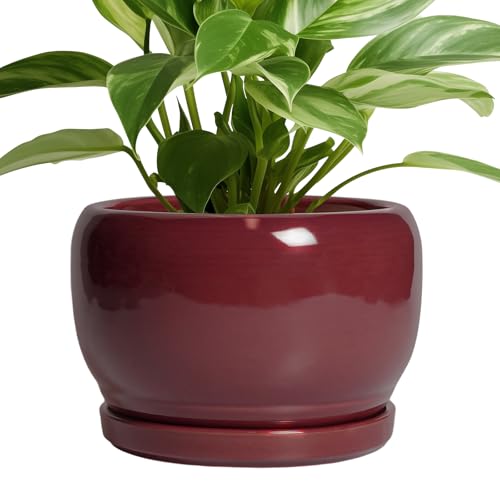 Ceramic Planter