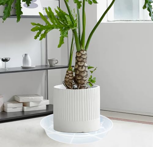 2 Pack of 17 inch Plant Saucer