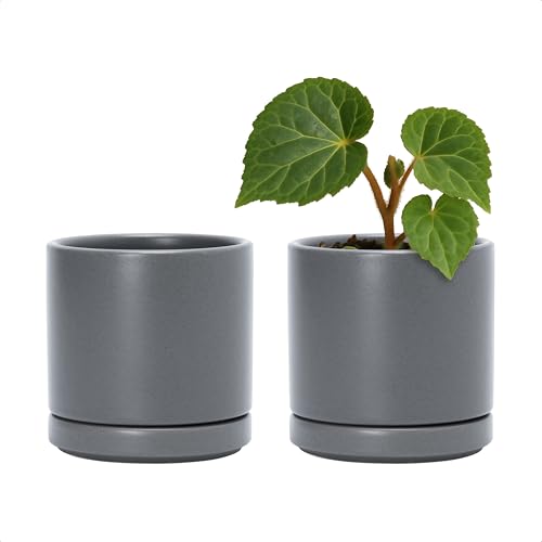 2 Pack Ceramic Pots with Saucers