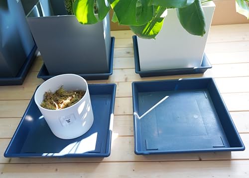Square Plant Saucer 12 Inch 2 Pack 6 8 10 12 14 16 18 20 Inch (12"-2Pack / Blue)