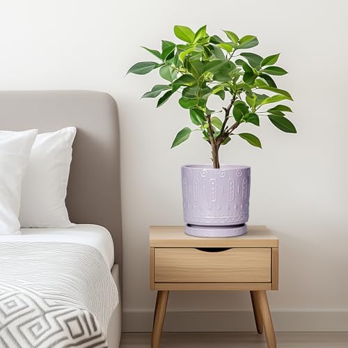 Ceramic Pots for Plants (6 Inch / Purple)
