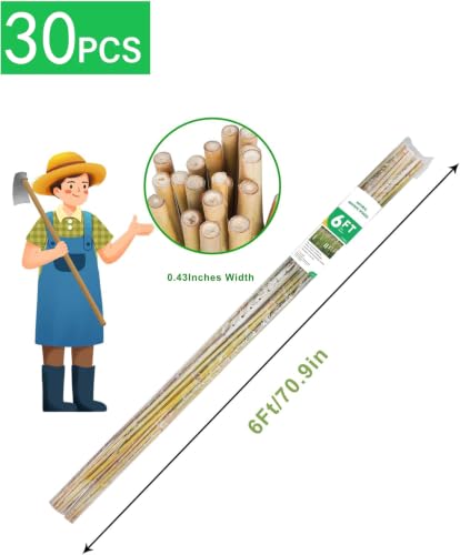 Natural Bamboo Plant Stake（6FT 30Pcs） Sturdy Bamboo Poles (6ft-30PCS)