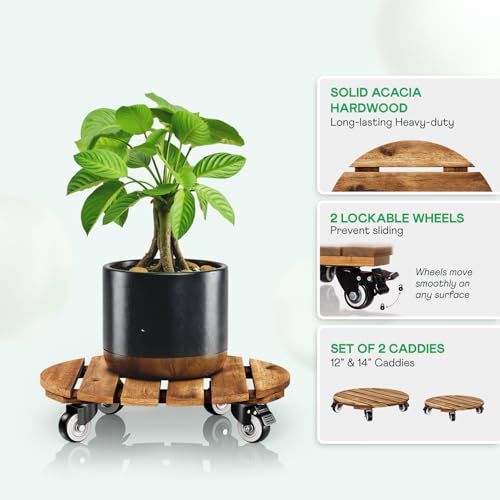 Combo 12 Inch and 14 Inch Acacia Wood Rolling Round Planter Caddies for Plant Pots (Round Wood Walnut / 12 + 14 Inch)