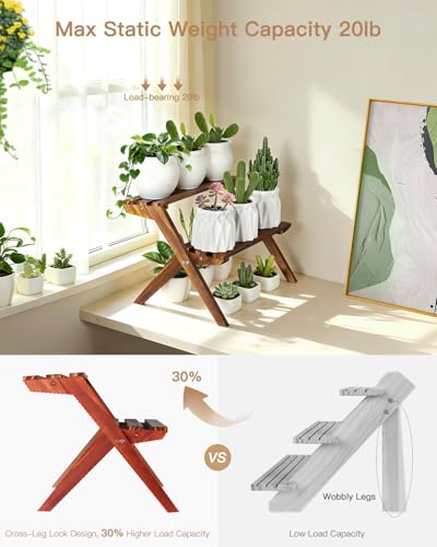 2 Tier Desktop Plant Stand