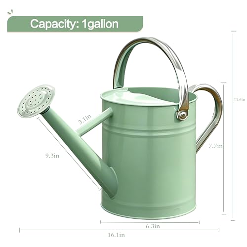 Metal Watering Can for Outdoor Plants (Cream Green)