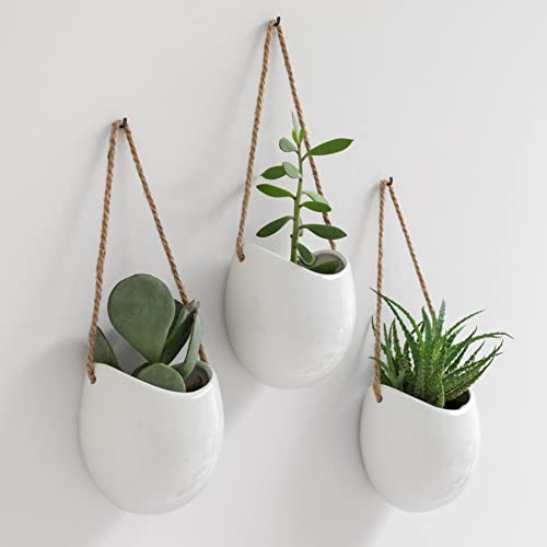 Wall Planters (3 Count)