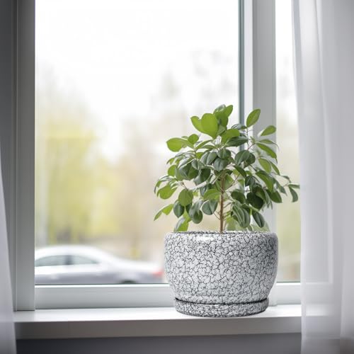 8 inch Plant Pot
