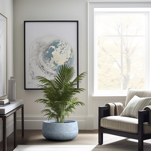 Large Round Bowl Blue Gray Concrete Planter 18.5" Dia (Slate Gray / 19.6"w)