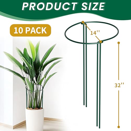 14" Dx32 H Plant Supports Stakes for Large Heavy Plants (14"Dx32"H-10PCS)