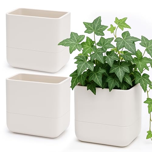 6.5 Inch Wall Mounted Self (6.5" (3 Pack) / Oatmeal)