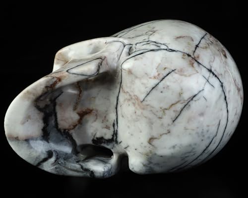 5.0” Black Picasso Jasper Crystal Skull (5.0 Inches Black Picasso Jasper1)
