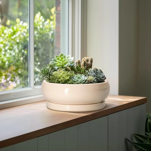 Large Succulent Planters (13 Inch / Beige)