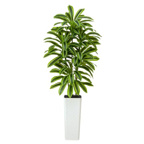 Artificial Dracaena Tree (Dark Green – White Pot / 7FT)