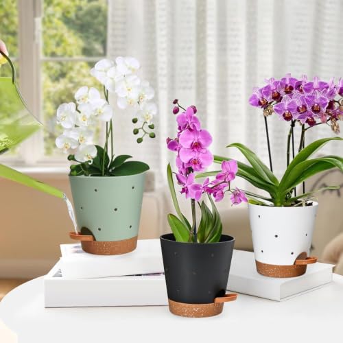 Orchid Pot 6 Inch Orchid Pots with Holes (Multicolor - 6pack)