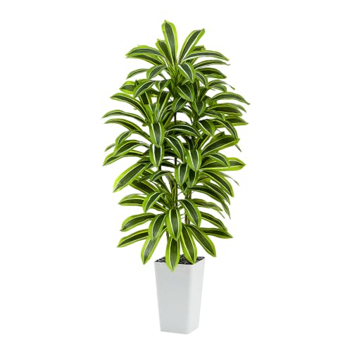 Artificial Dracaena Tree (Light Green – White Pot / 5FT)