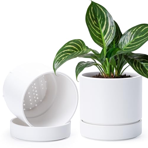 6 Inch Planter Pot with Drainage Hole & Saucer (2 Count)