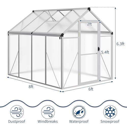 6 x 8 FT Greenhouse (Silver / 6x8FT)