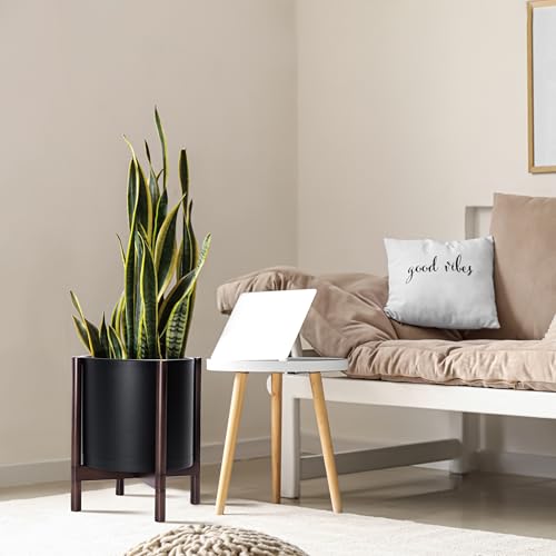 Plastic Pot with Walnut Wood Stand