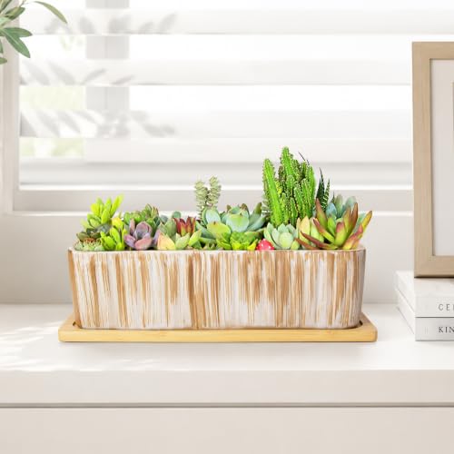 Succulent Pots (Wooden Pattern)
