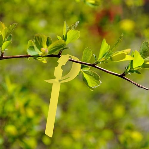 Plant Labels 200Pcs Yuanling Plastic Plant Tree Tags Wrap Around Hanging Tags Nursery Tree Markers Adjustable Garden Labels for Indoor Outdoor Gardening Plants (Yellow)
