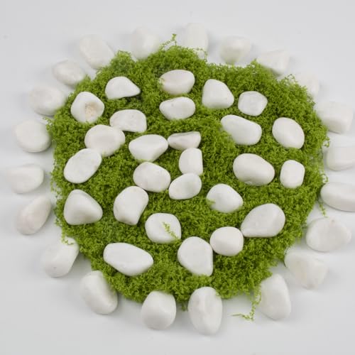 10 lbs White Polished Decorative Stones