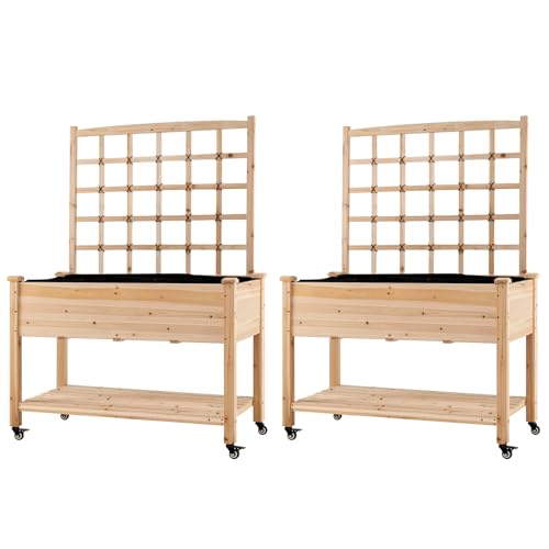 65'' Wooden Raised Garden Bed with Trellis & Legs (47” x 23” x 65”)