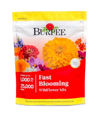 Fast Blooming 25