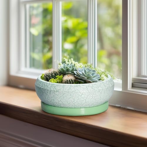 Bonsai Pots Ceramic (8 Inch / Bright Green-white)
