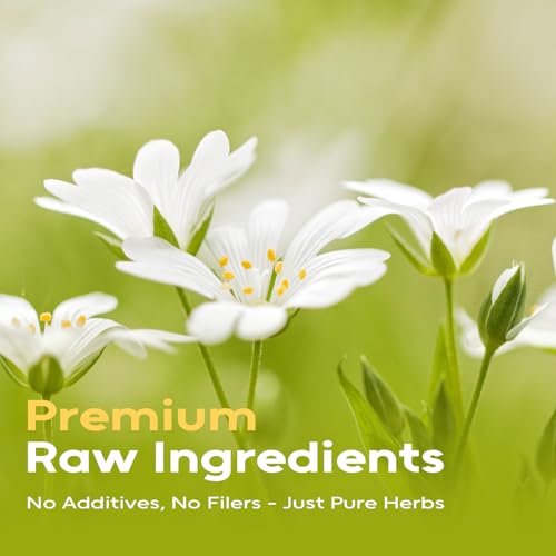 Chickweed Herb (4 Ounce (Pack of 1))