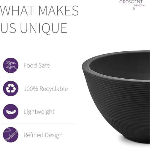 Delano Bowl Planter