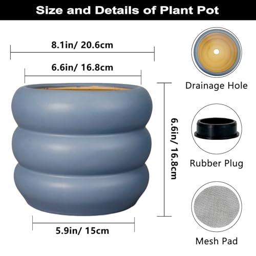 Ceramic Pot for Plants (8 Inch / Gray)