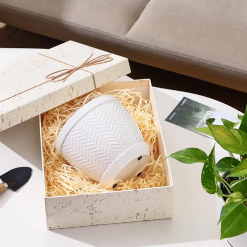 6.5" Ceramic Plant Pots Set of 2 (White / 6.5 inch)