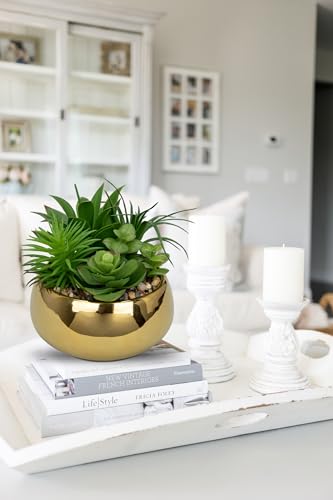 Succulents Plants Artificial in Pots Fake Succulents for Outdoors Indoor Faux Succulent Arrangement Potted Plant in Gold Ceramics Planter Bowl for Garden Office Desk Living Room Home Decor (Gold)